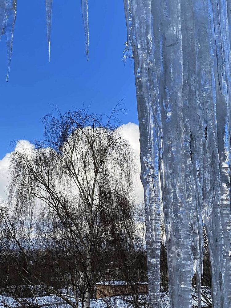 Photograph by Марина Трейер