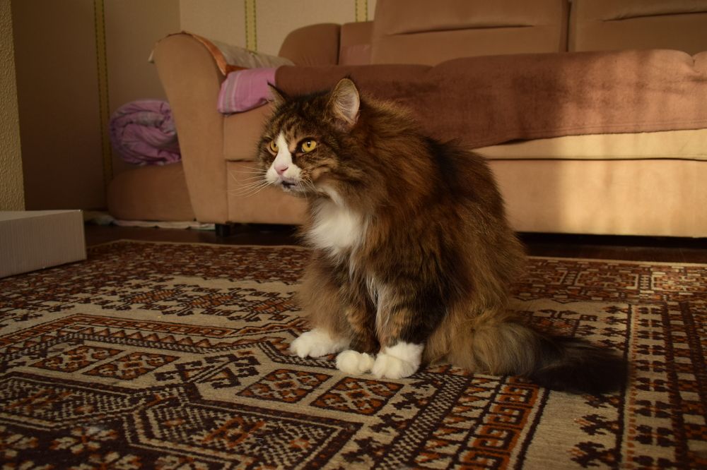 Photograph by Наталья Еременко