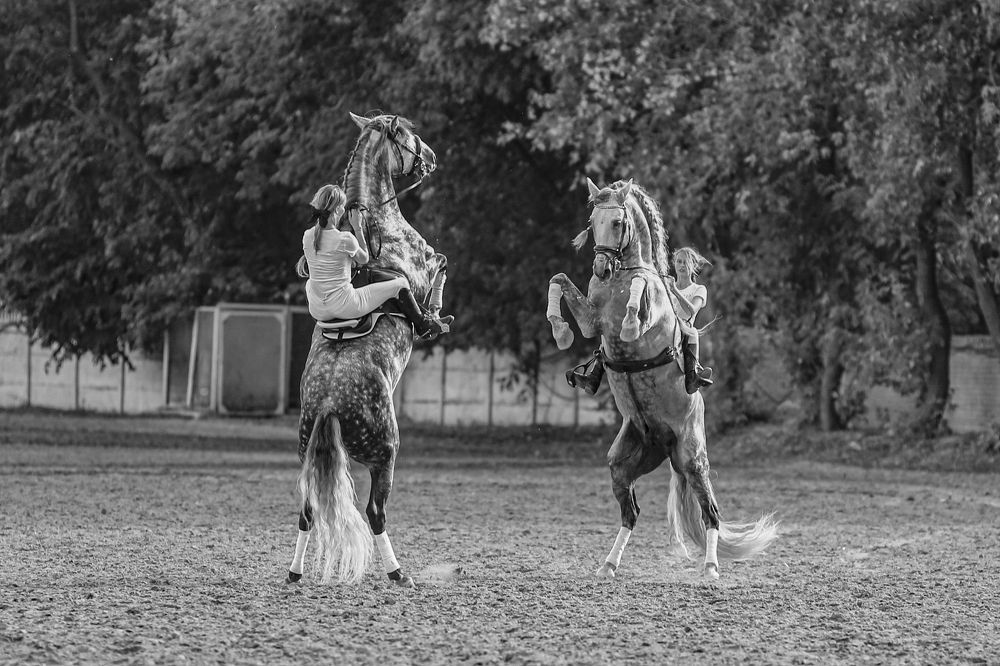 Photograph by Sergey Firsov