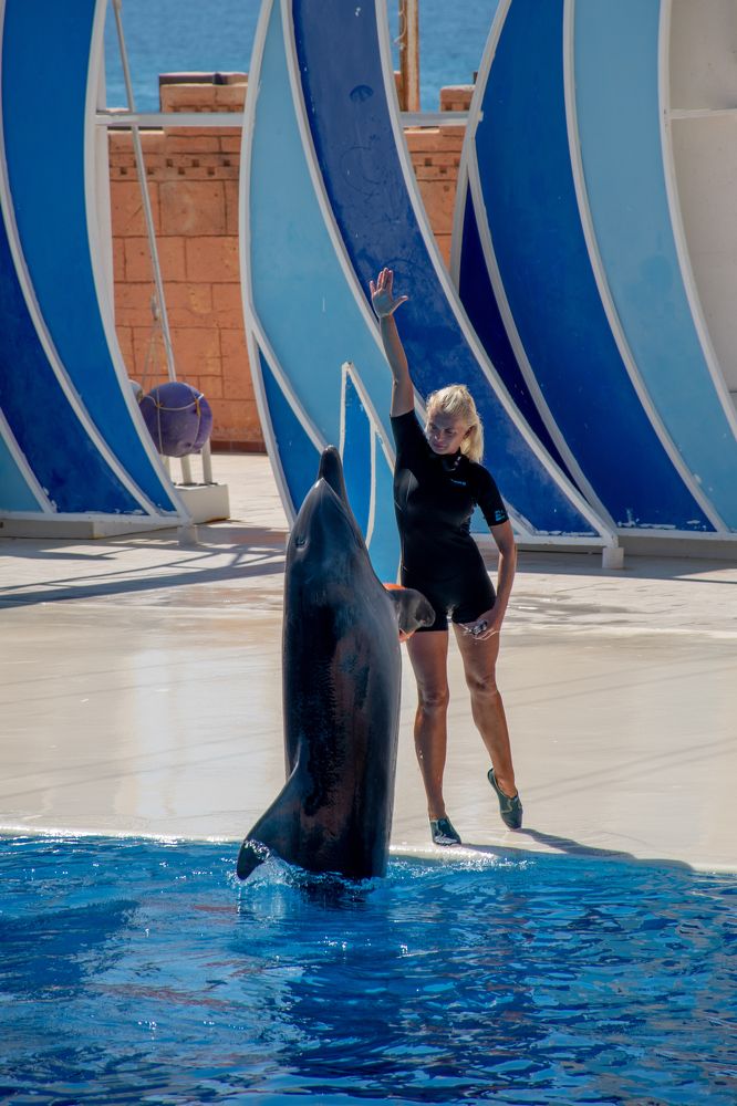 Photograph by Алексей Алексеев