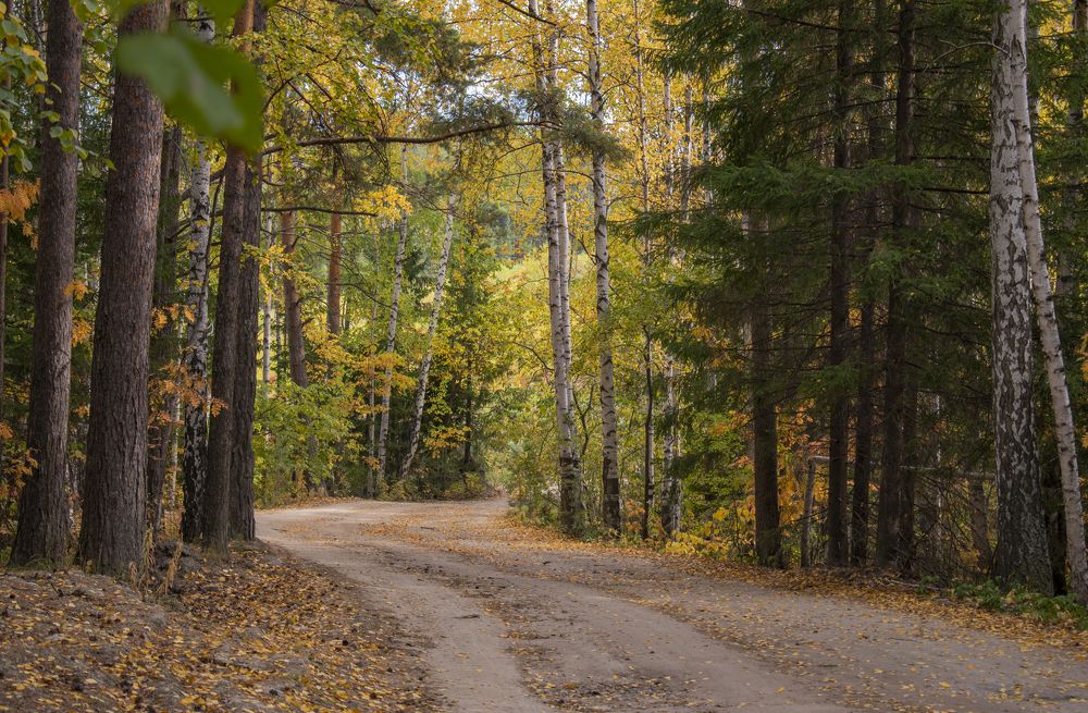 Photograph by Валерия Бебенина
