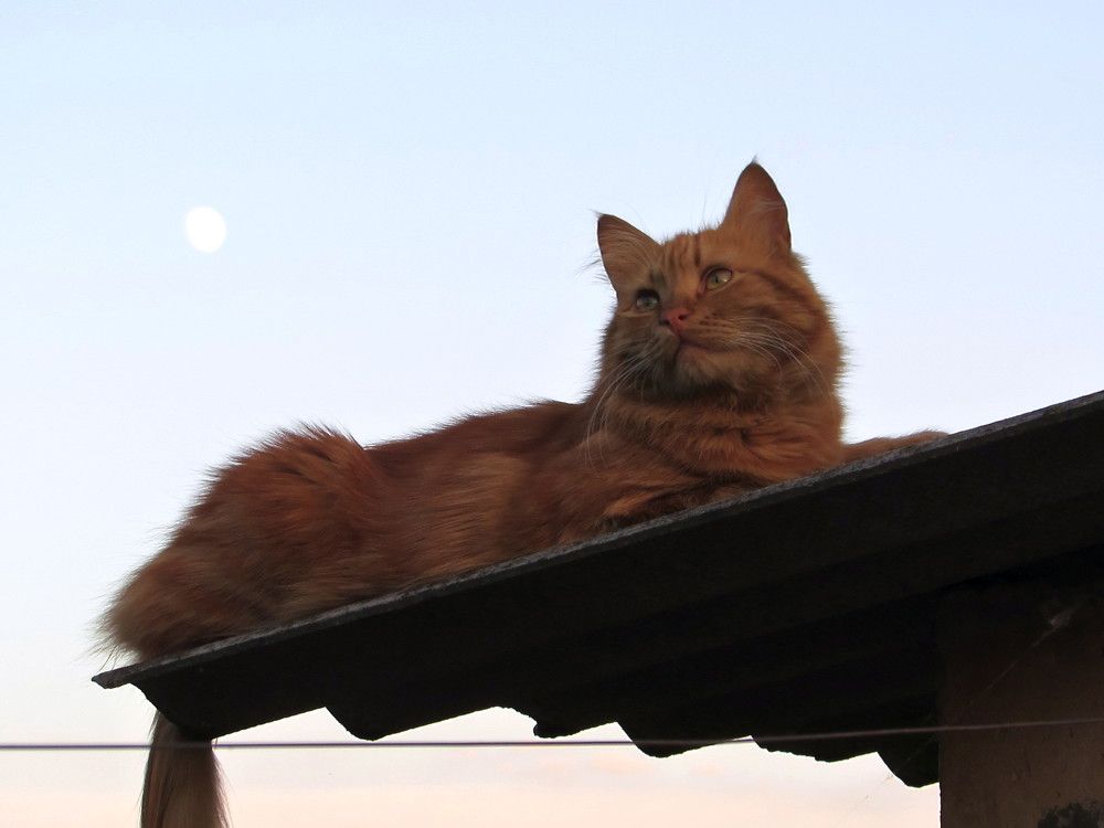 Photograph by Елена Кузнецова