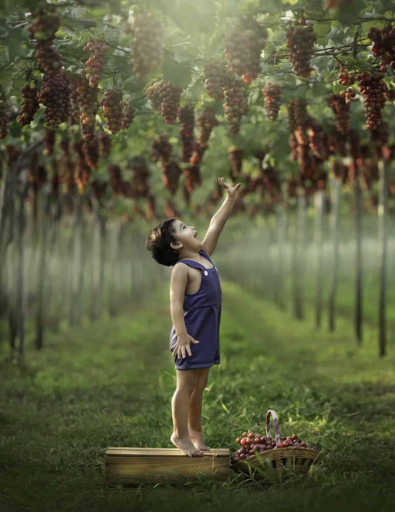 Photograph by Mykaella Carbonera