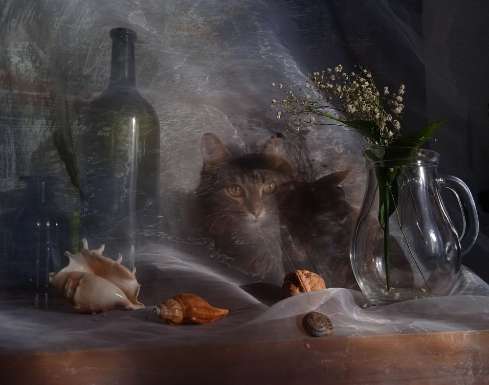 Photograph by Евсеева Валентина