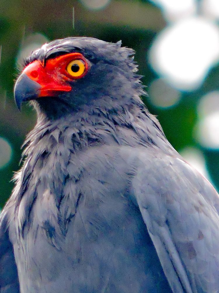 Photograph by Rodrigues Helena