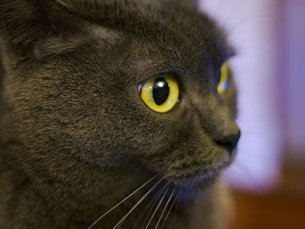 Photograph by Andrew Leshiy