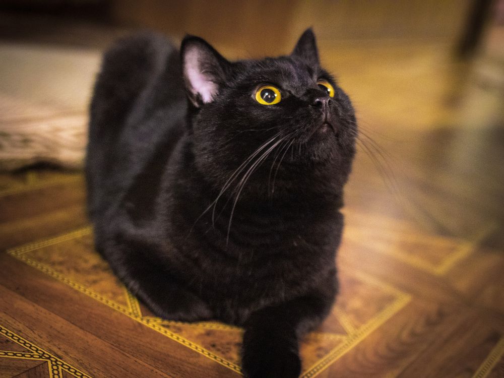 Photograph by Andrew Leshiy