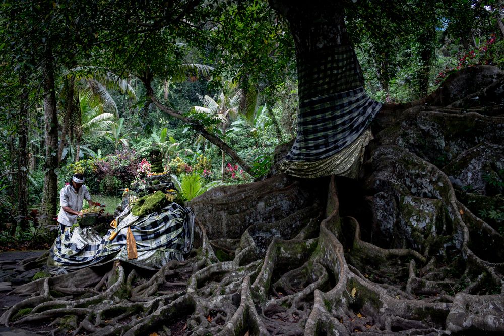 Photograph by Inna Skryagina