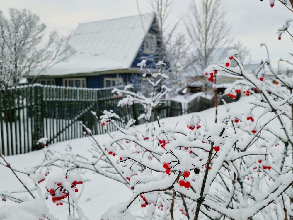 Photograph by Татьяна Пименкова
