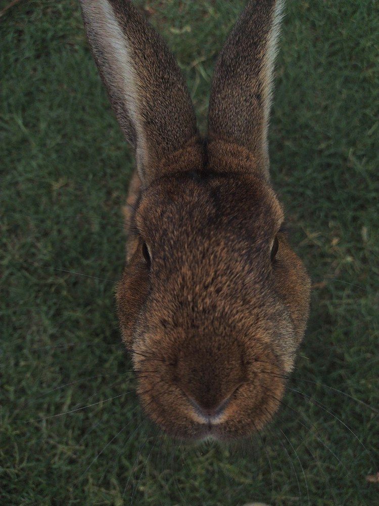 Photo #8776060
