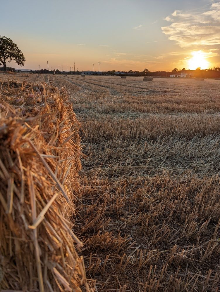 Photograph by Vadim Heinz