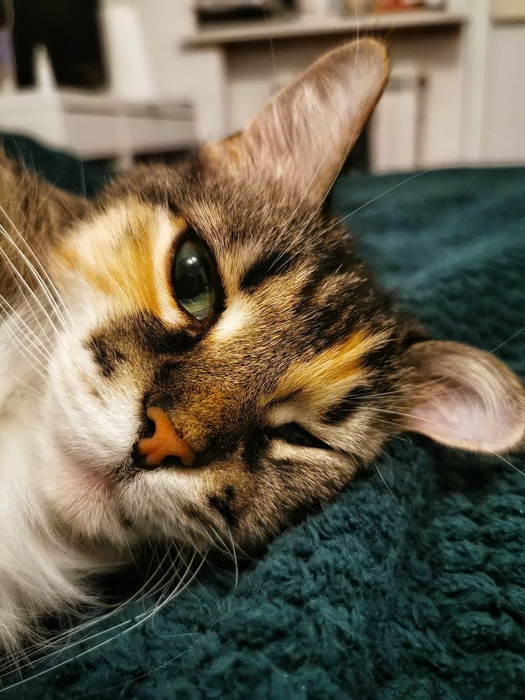 Photograph by Елена Артёменко