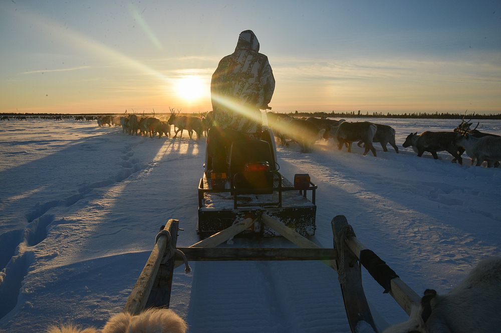 Фотография автора Екатерина Григорьева