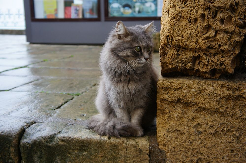 Photograph by Максим Роганов