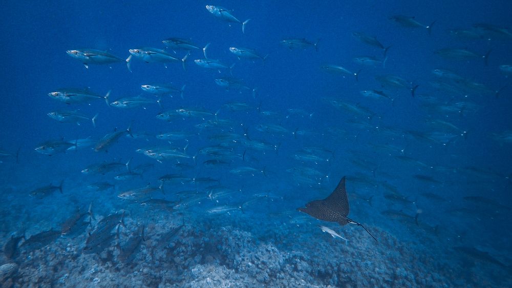 Photograph by Мария Берёзка