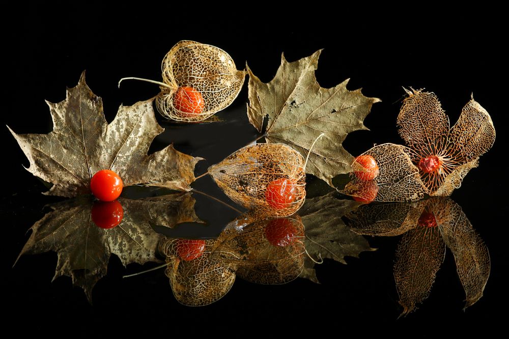 Photograph by Шруб (Беляева) Татьяна