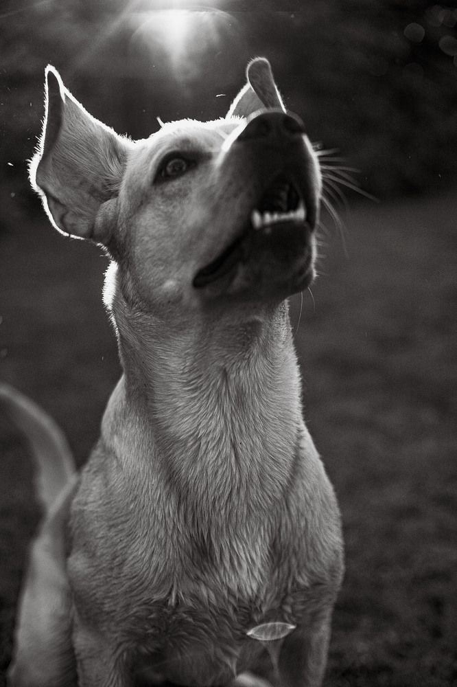 Photograph by Анастасия