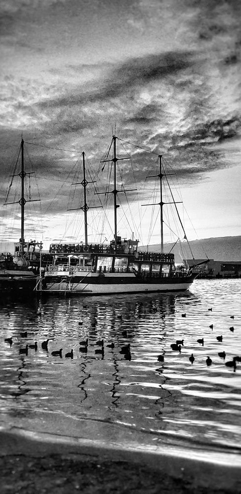 Photograph by Марина Жарикова
