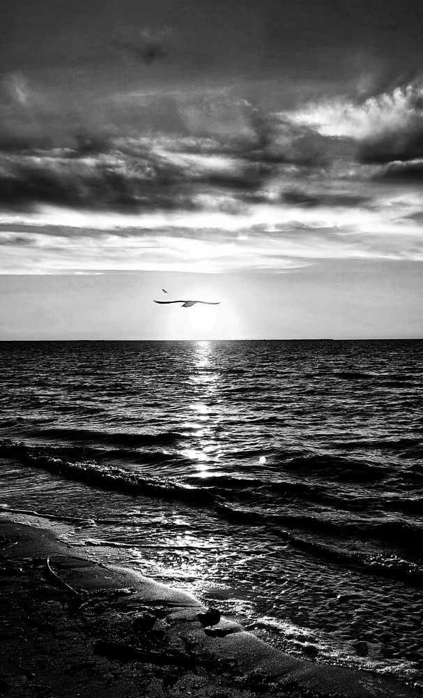 Photograph by Марина Жарикова