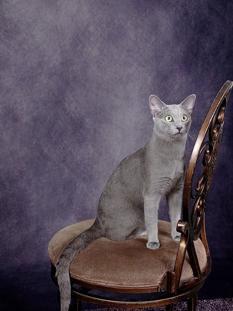 Photograph by Людмила Стойлова