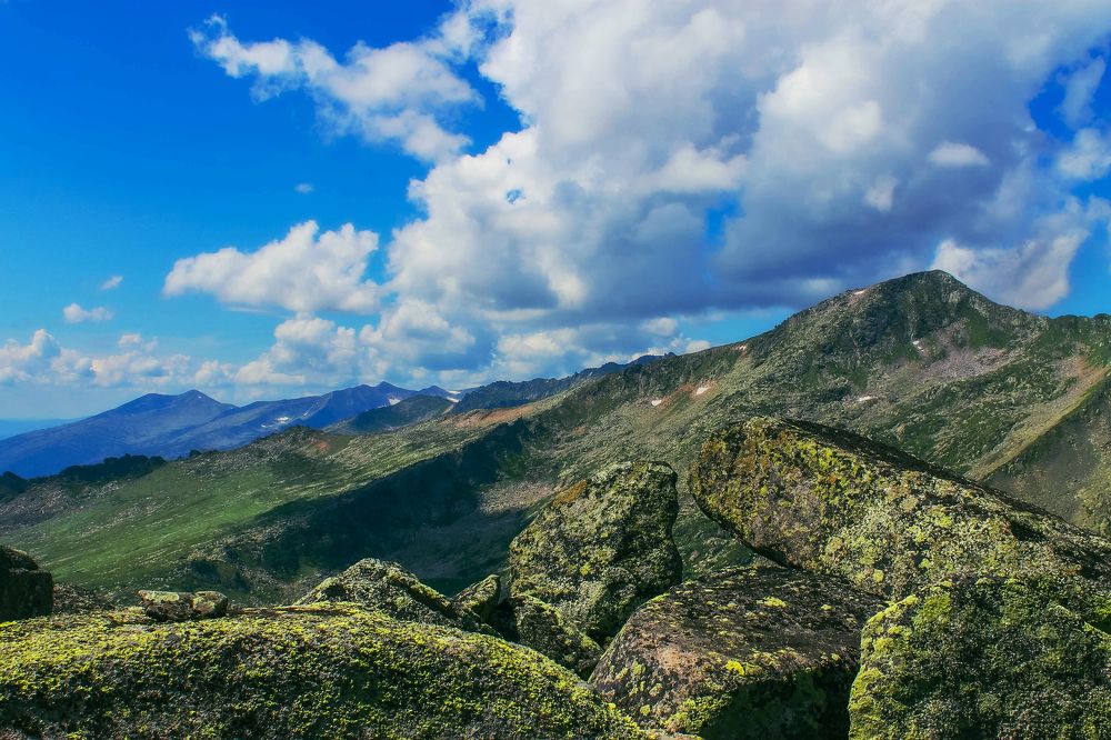 Photograph by Александр Жариков