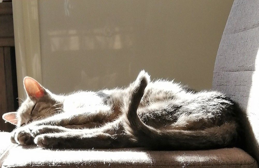 Photograph by Marina Eremin