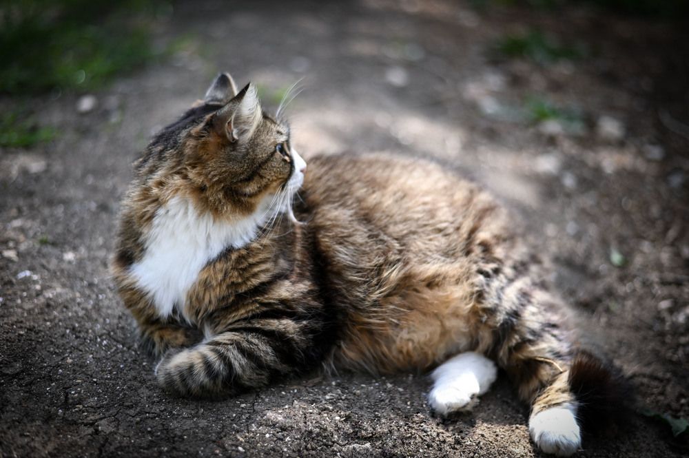 Photograph by Ирина Ри