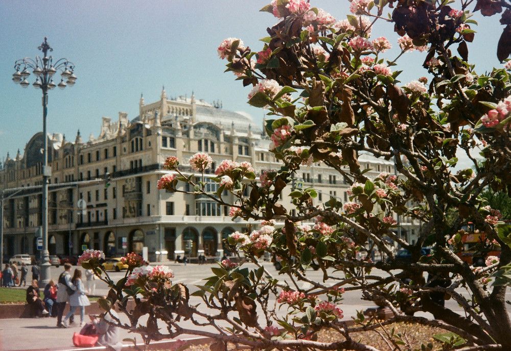 Photograph by Алена Жилина