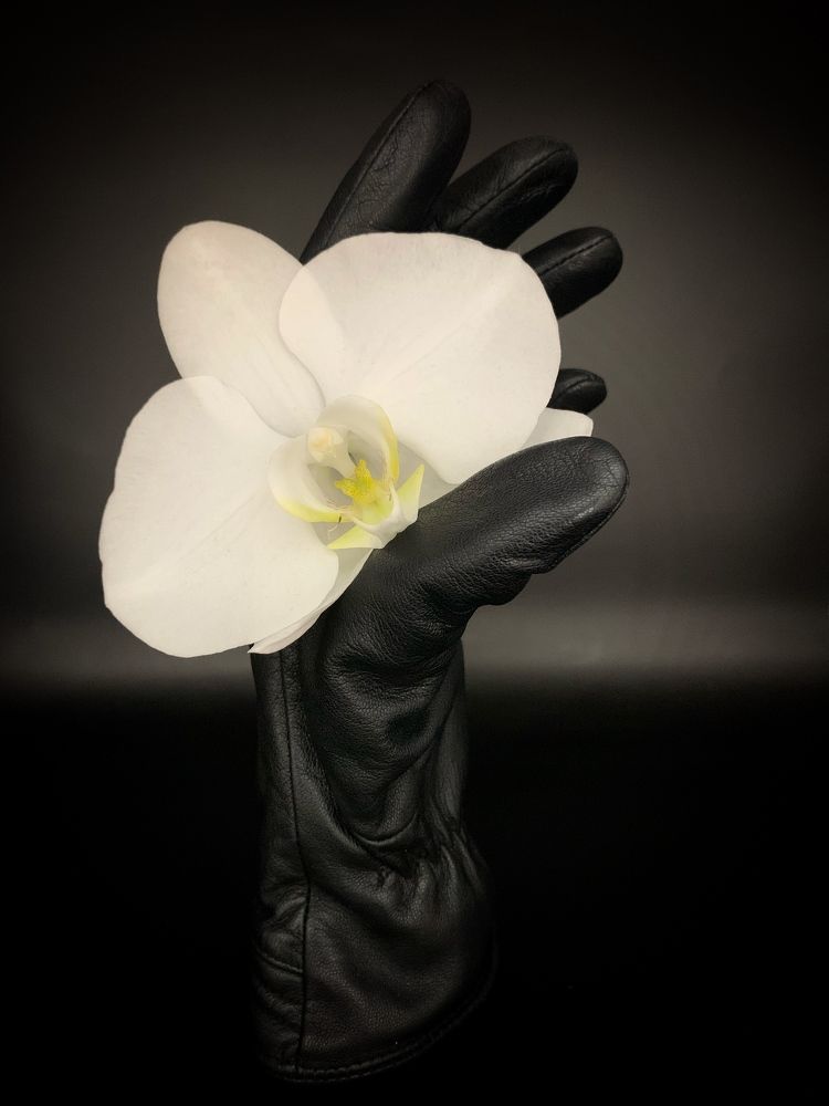 Photograph by Анна Чекирева