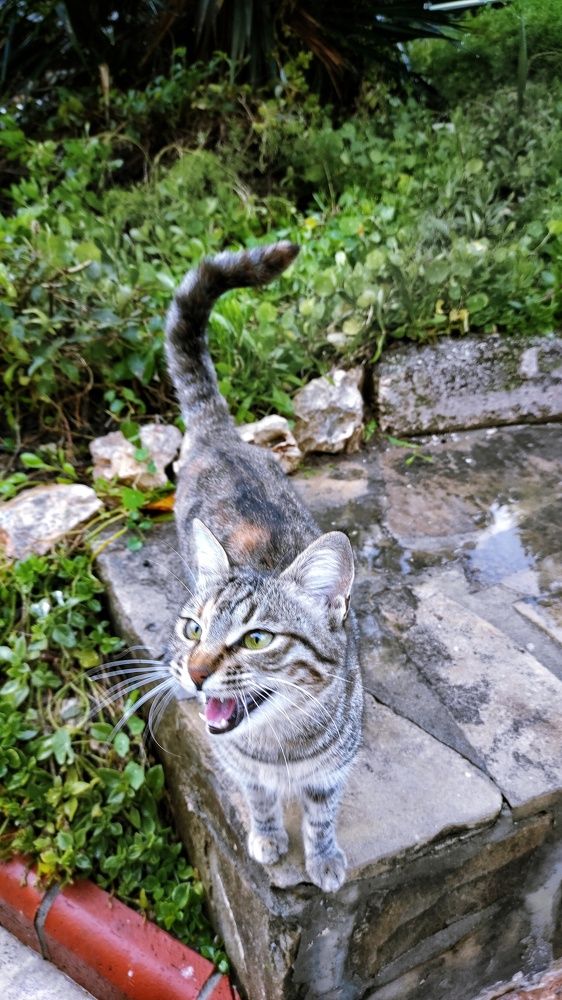 Photograph by Наталья Рау