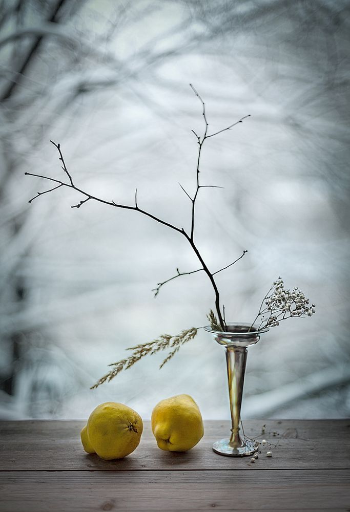 Photograph by Олег Расторгуев