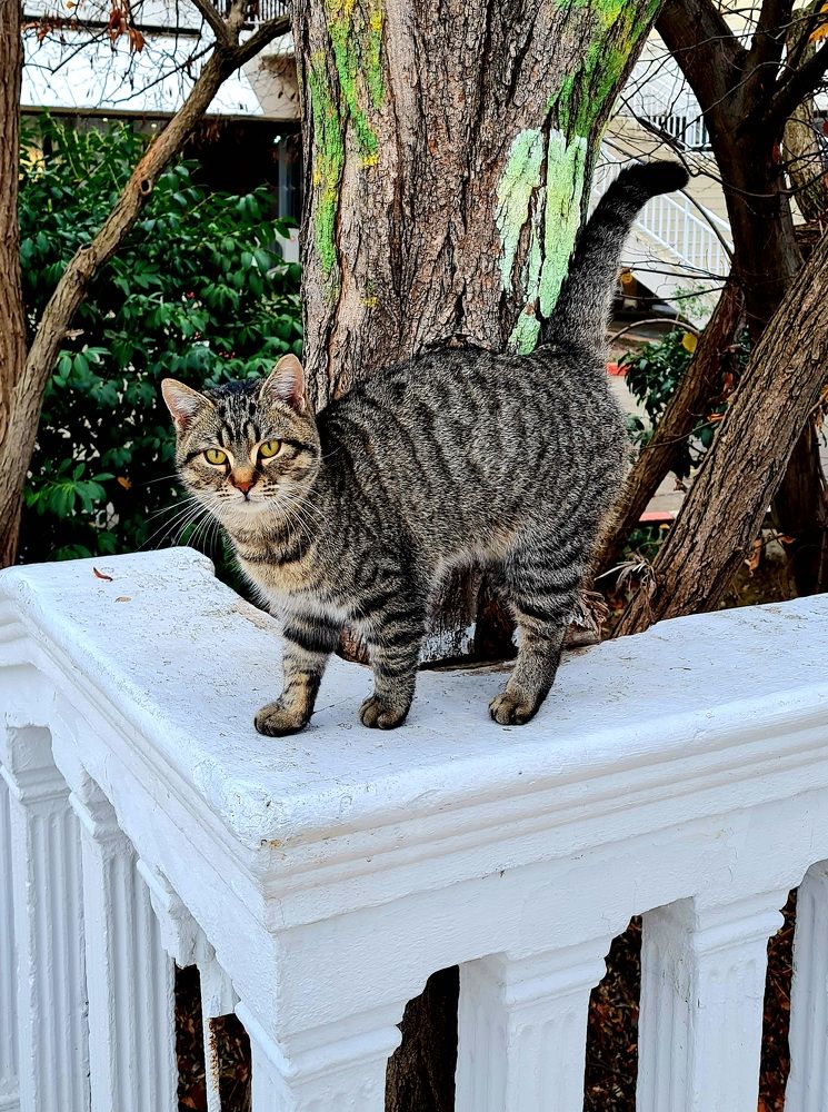 Photograph by Ирина Синягина