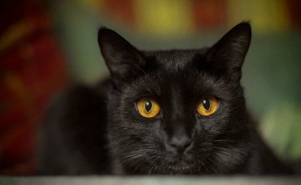 Photograph by Олег Расторгуев