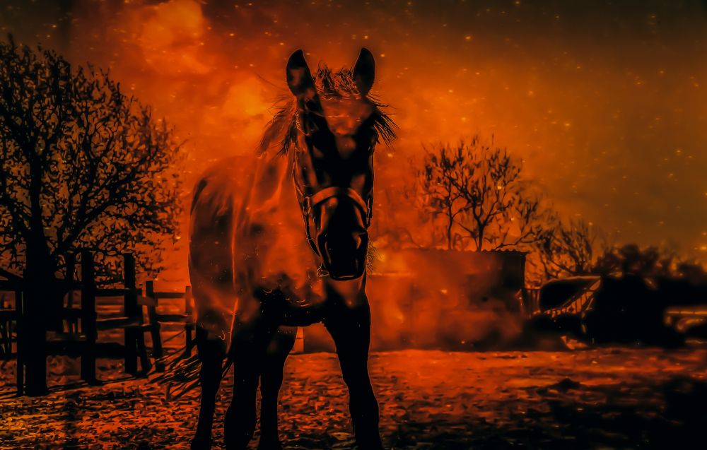 Фотография автора Nomin Jerabek