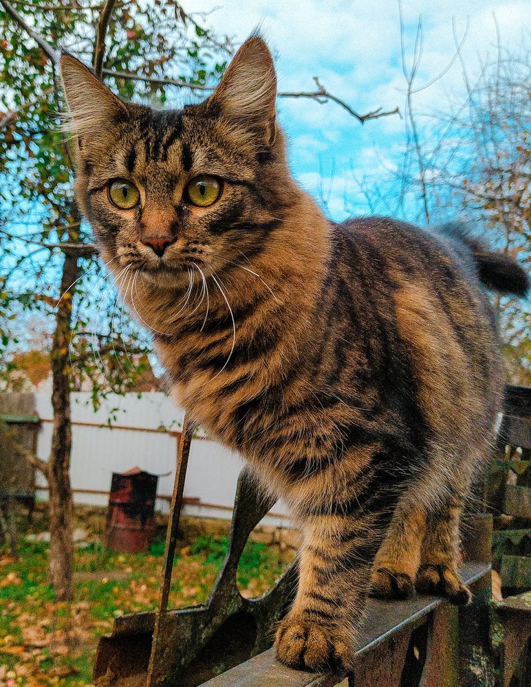 Photograph by Олеся Бронзова