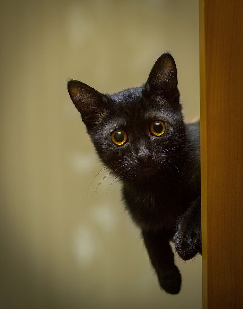 Photograph by Олег Расторгуев