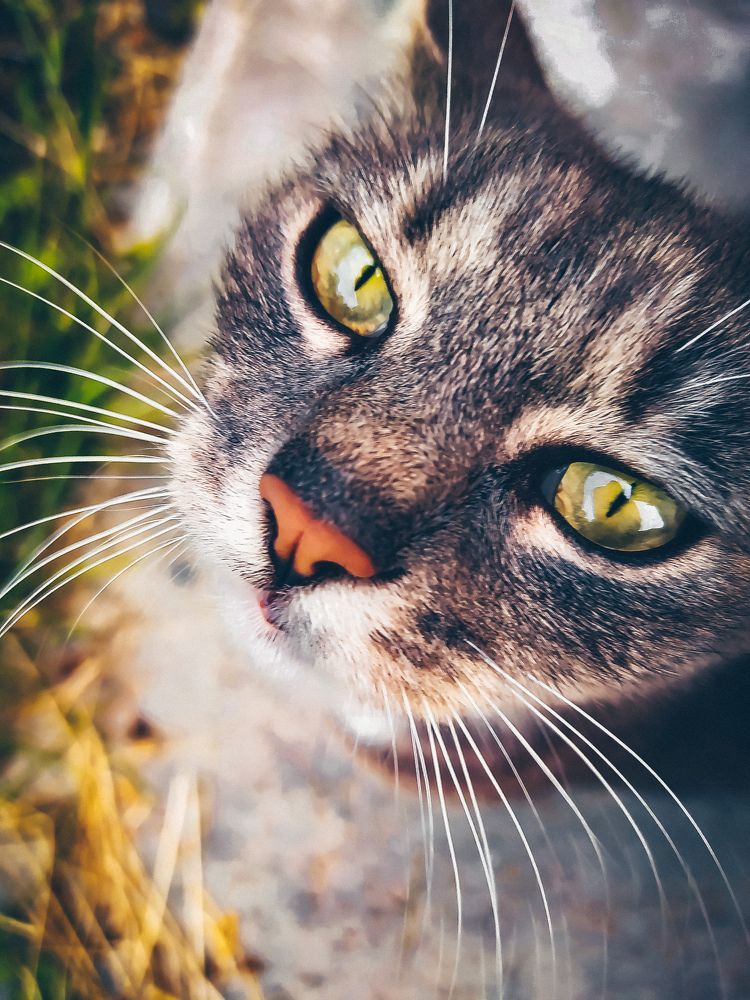 Photograph by Олеся Бронзова