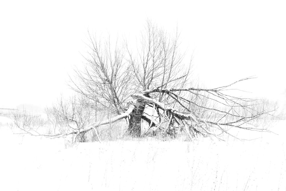 Photograph by Алексей Королев