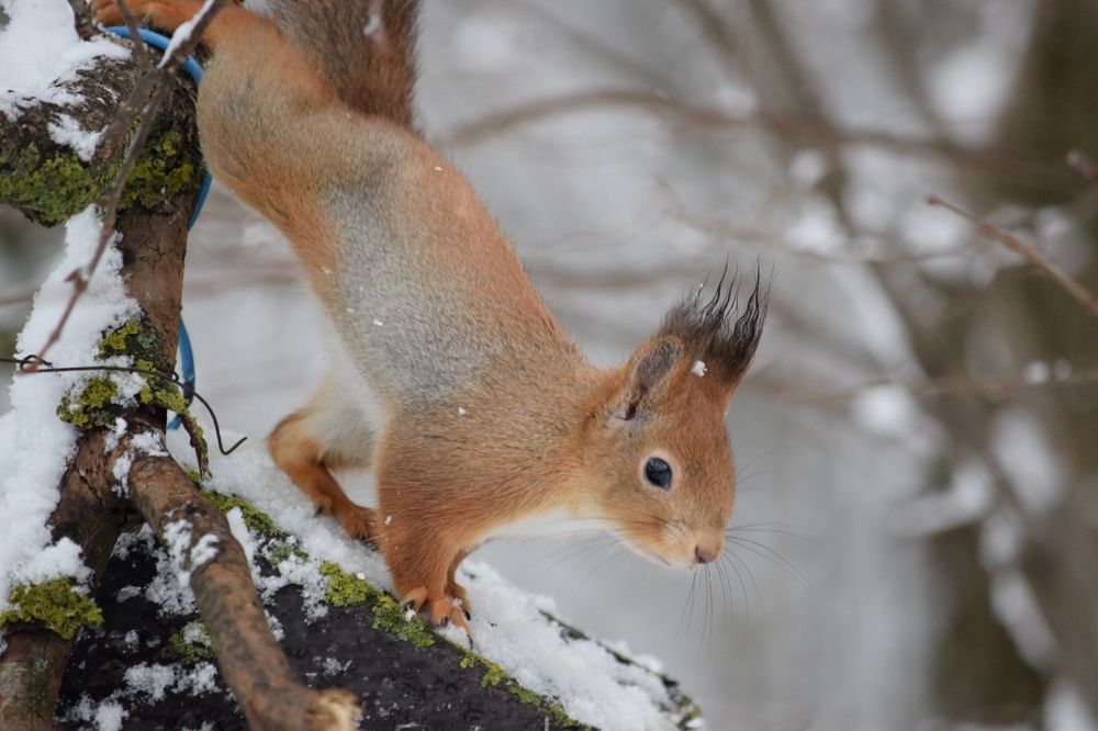 Photograph by Андрей Денисов