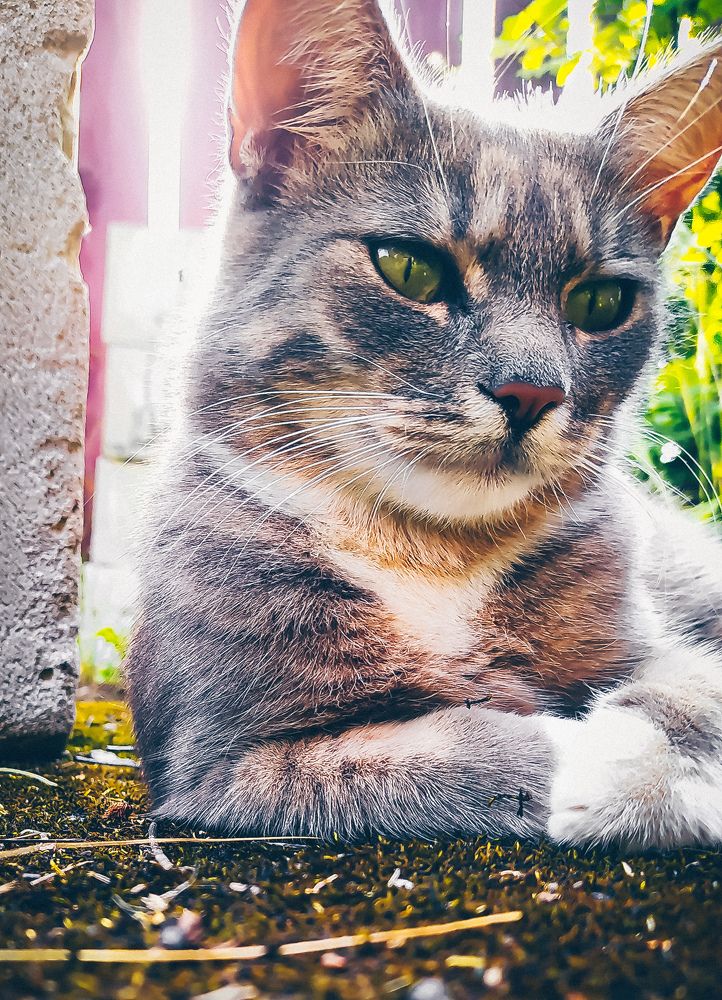 Photograph by Олеся Бронзова