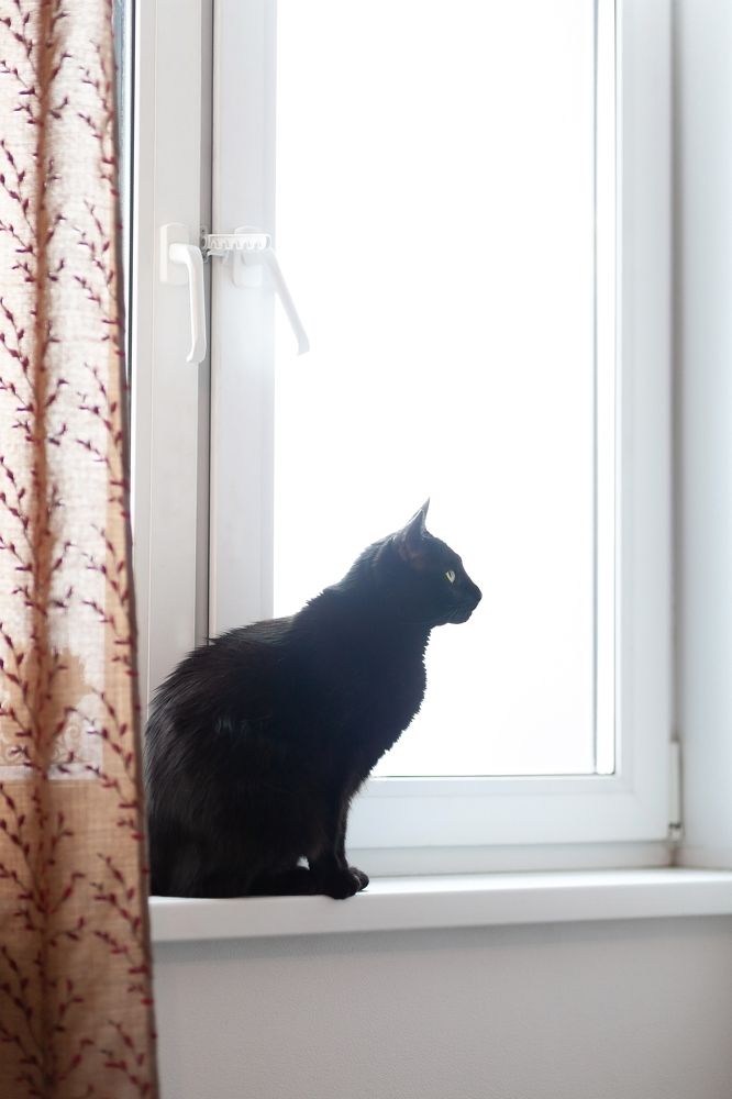 Фотография автора Мария Веселова