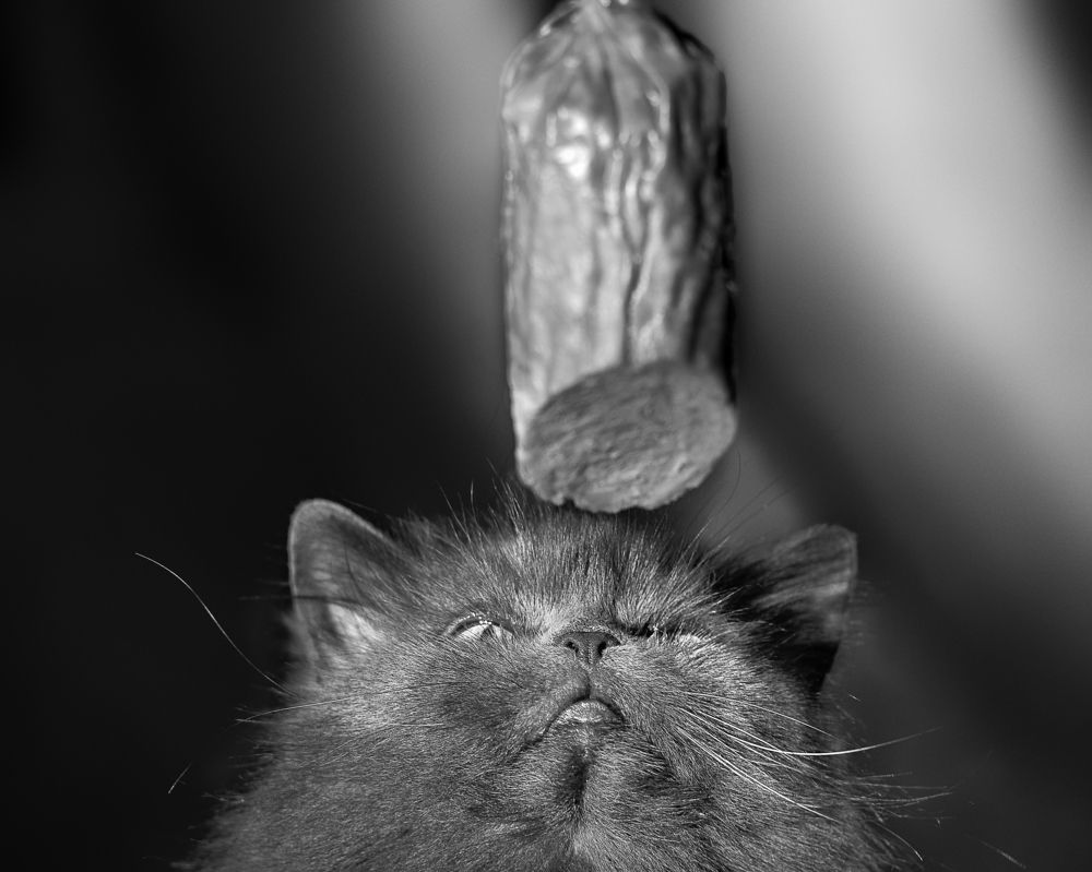 Photograph by Ольга Шибяева