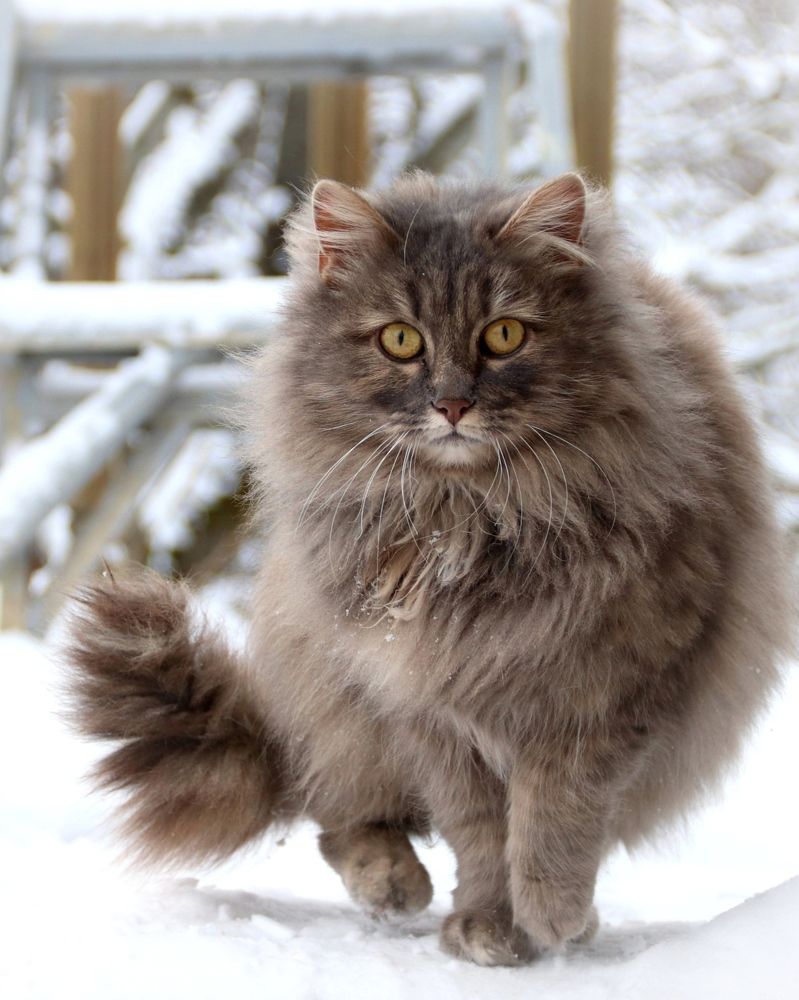 Photograph by Нина Чугунова