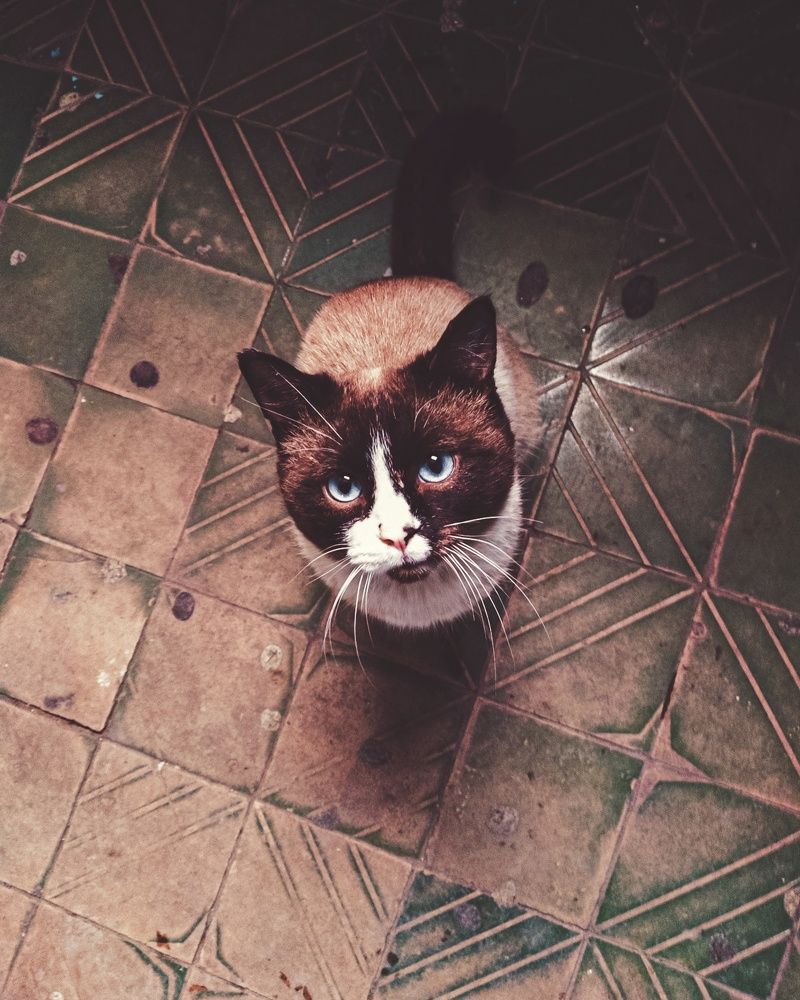 Photograph by Kanat Amre