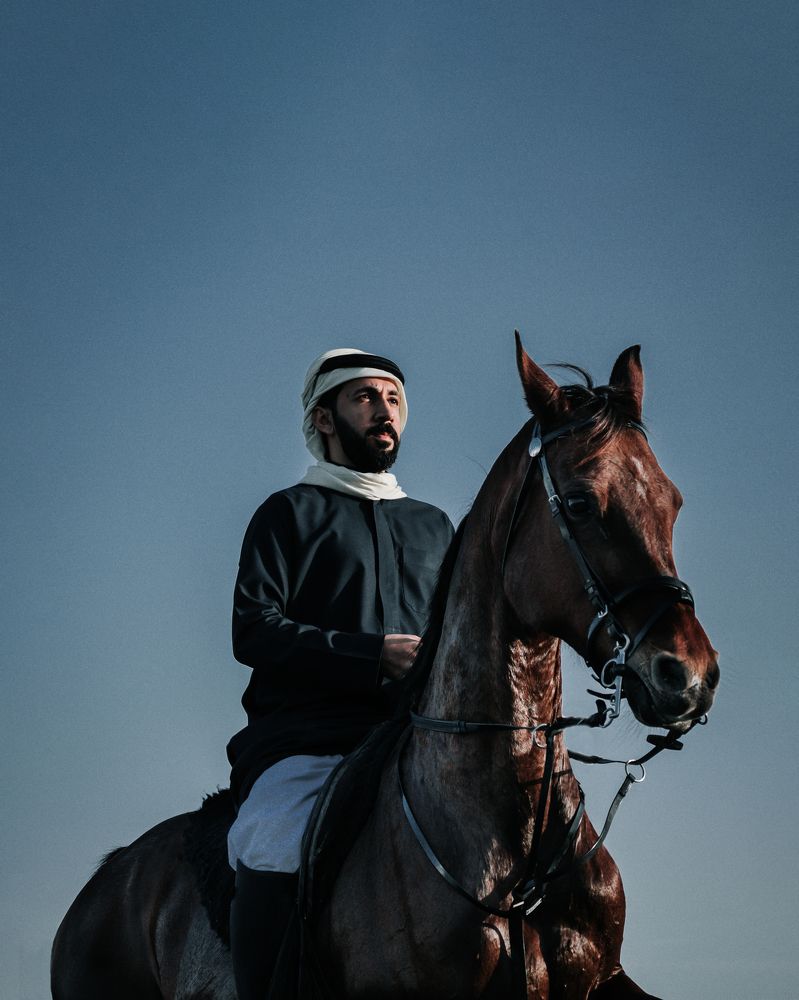 the Arabian knight
