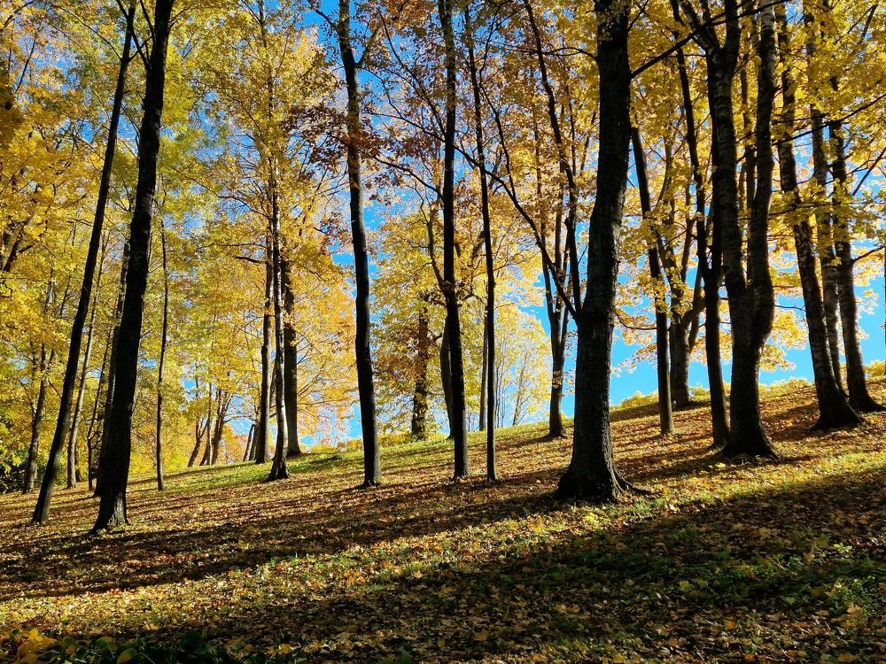 Photograph by Татьяна Пименкова