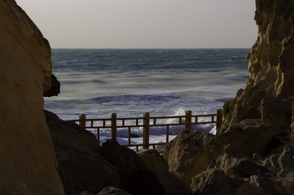 Photograph by Артем Архипов