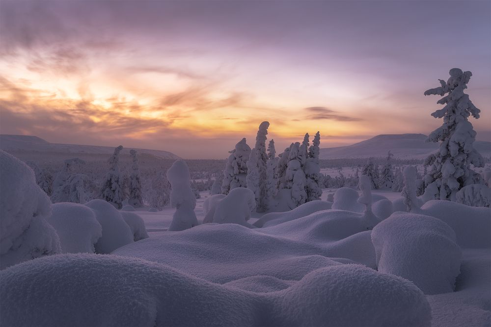 Photograph by Sergey Altushkin