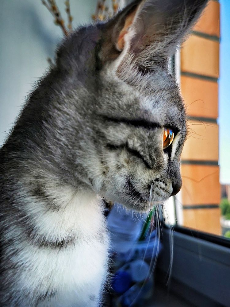 Photograph by Елена Артёменко