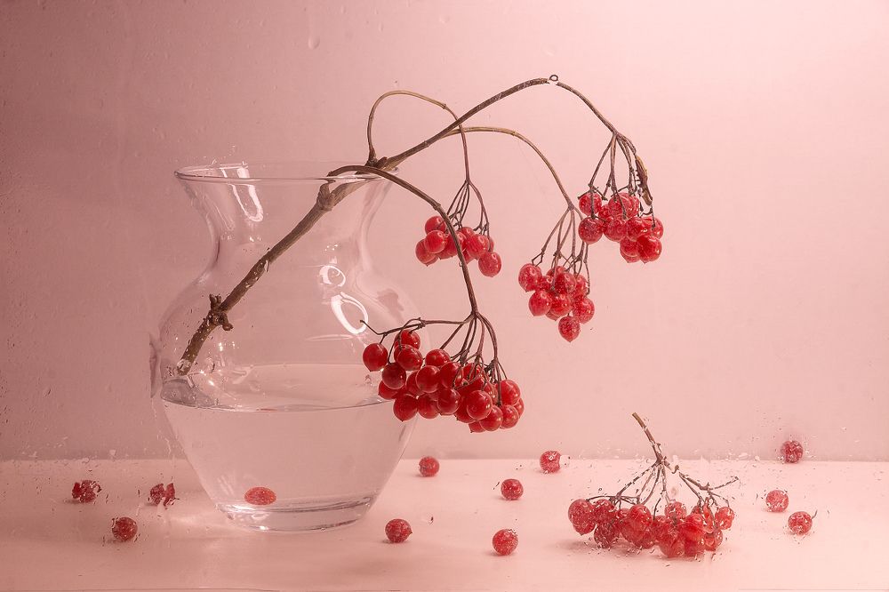 Калина вызрела